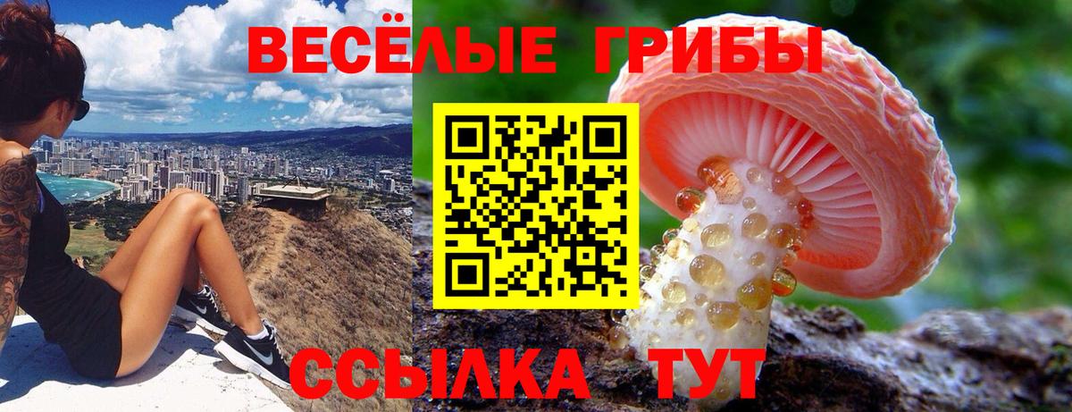 Муравленко  Псилоцибиновые грибы ЛСД  Вход с VPN 